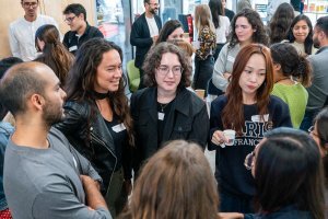 vignette FIPDes Week 2024